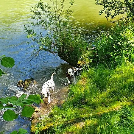 Ferienwohnung Zum Wandergluck *